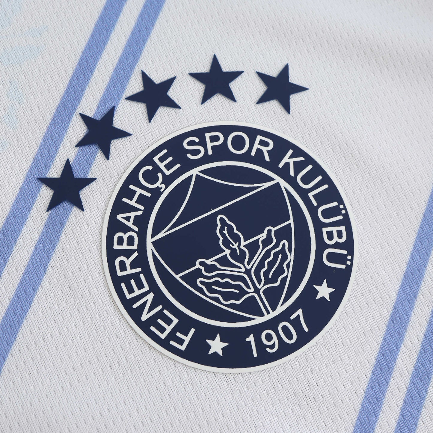 Fenerbahçe 2024 2025 Yeni Sezon Forma Deplasman Jersey New Season Trikot Maillot Jersey Camiseta